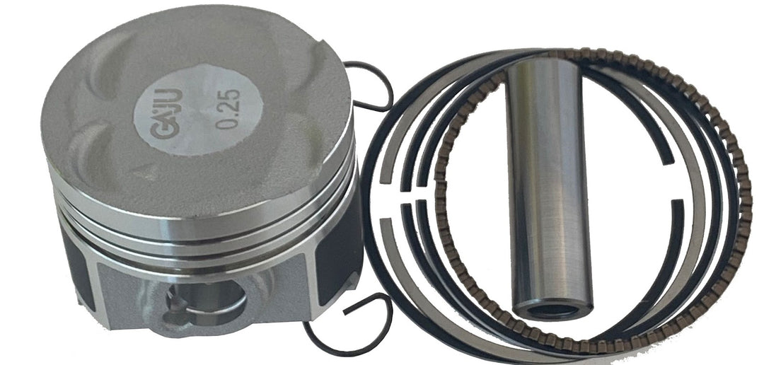 PISTON B. DISCOVER100M (4) VALVULAS 0.25