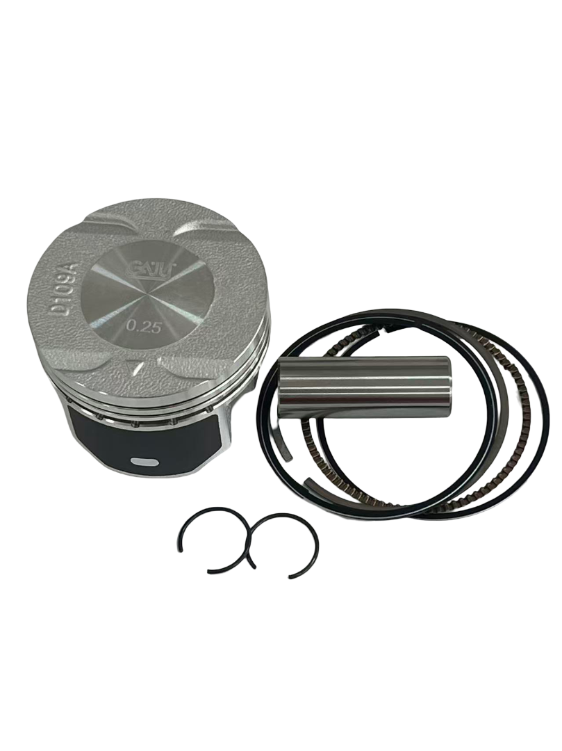 PISTON B. PULSAR125NS 0.25