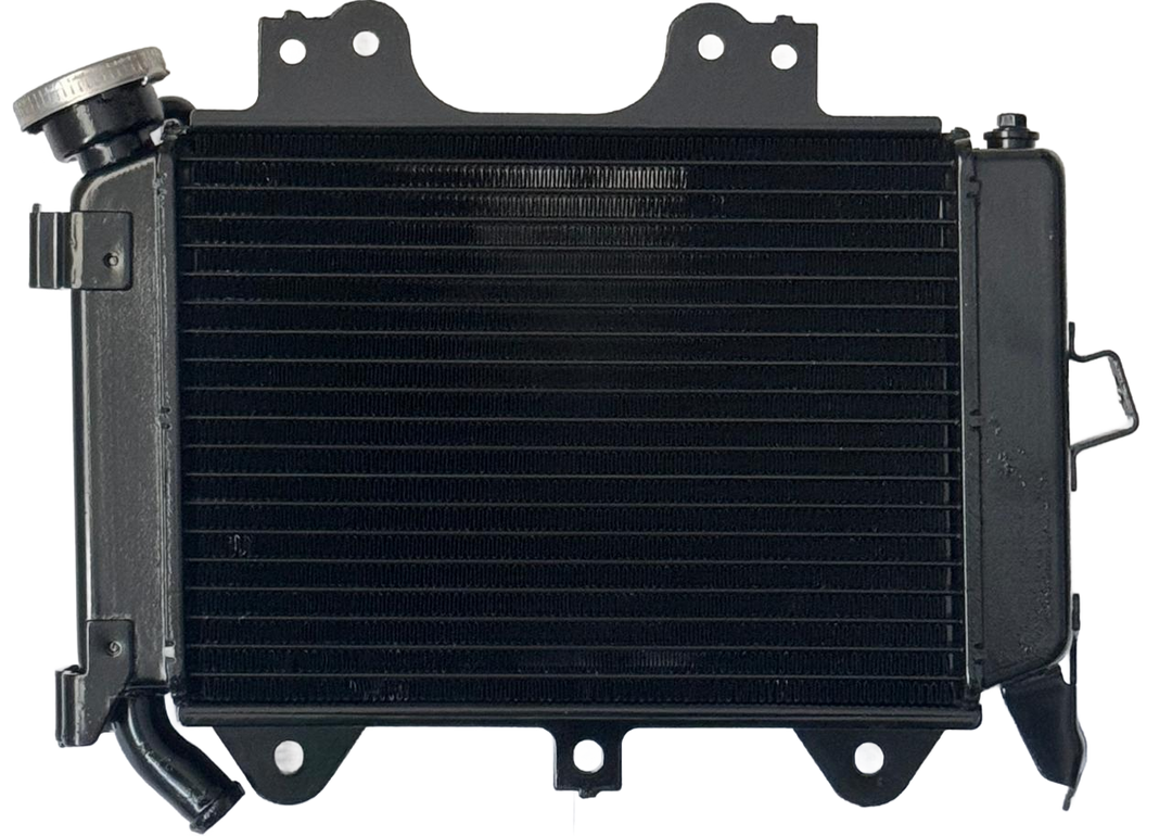 RADIADOR B. PULSAR 200NS