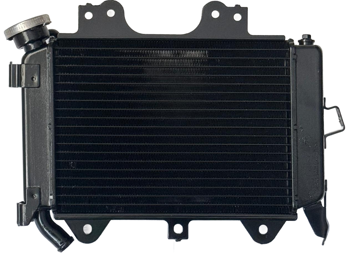 RADIADOR B. PULSAR 200NS